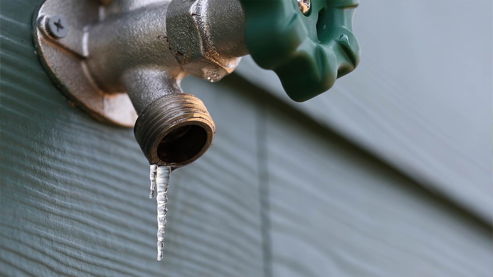 Frost-free hose bib service